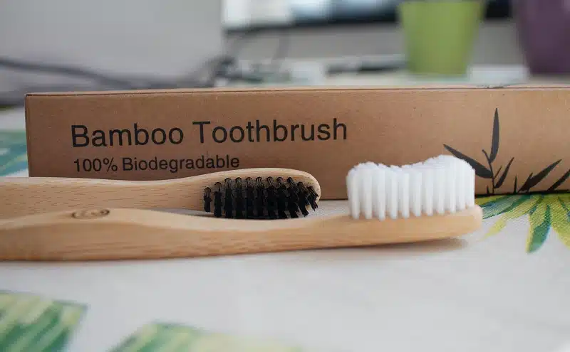 nachhaltige Zahnbürste